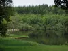 Lago de Vassivière - Los bancos, lago artificial y árboles