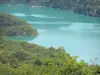 Lago de Vouglans - Depósito de agua (lago artificial) y arboladas orillas