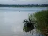 Lagos da floresta do Oriente - Templo do lago com juncos (plantas aquáticas) e um barco de pesca, floresta ao fundo (Eastern Nature Regional Nature Park)