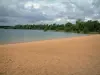 Lagos da floresta do Oriente - East Lake, praia arenosa de Géraudot, floresta e céu nublado (Parque Natural Regional do Forêt d'Orient)