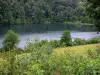 Lake Vernois - Corpo de água, árvores e arbustos