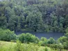 Lake Vernois - Corpo de água, árvores e arbustos