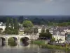 Landscapes of Anjou - The Loire valley: bridge on the Loire River, houses and buildings of the Offard island in Saumur, trees and forest; in the Loire-Anjou-Touraine Regional Nature Park