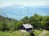 Landscapes of the Béarn - Chalet in a mountainous and wooded setting