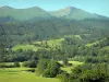 Landscapes of the Béarn - Green Aspe valley