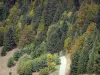 Landscapes of Dauphiné - Chartreuse Regional Nature Park (Chartreuse mountains): Forest road lined with trees and fir