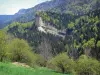 Landscapes of Dauphiné - Vercors Regional Nature Park (Vercors mountains): meadow planted with trees and mountains covered with forest in spring