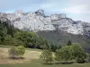 Landscapes of Dauphiné - Meadow planted with trees, forests and cliffs overhanging the place