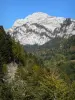 Landscapes of Dauphiné - Regional Natural Park of Chartreuse (Chartreuse mountains): cliffs overlooking the forest
