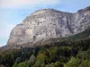 Landscapes of Dauphiné - Chartreuse Regional Nature Park (Chartreuse mountains): Dent de Crolles (mountain) forest
