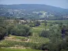 Landscapes of the Gard - Côtes du Rhône vineyard, trees, houses and hills