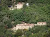 Landscapes of the Gard - Houses surrounded by trees