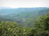 Landscapes of the Gard - Trees in foreground with  view of the hills and the mountains