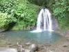 Landscapes of the Guadeloupe - Guadeloupe National Park: Écrevisses waterfall in the heart of the rainforest