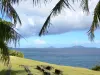 Landscapes of the Guadeloupe - View of the sea and Les Saintes islands from Vieux-Fort