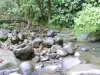 Landscapes of the Guadeloupe - Guadeloupe National Park: river winding between the rocks in the heart of the rainforest