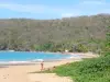 Landscapes of the Guadeloupe - Perle Beach on the island of Basse-Terre, in the town of Deshaies: white sand, greenery and Caribbean sea