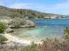 Landscapes of the Guadeloupe - Cove on the island of Grande-Terre and turquoise sea