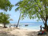 Landscapes of the Guadeloupe - Beach of Petit-Havre on the island of Grande-Terre, in the town of Gosier: beach shaded by tree with sea view and boats