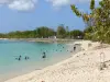 Landscapes of the Guadeloupe - Souffleur beach on the island of Grande-Terre, in the town of Port-Louis: swimming lessons in the turquoise sea, marine cemetery in the background