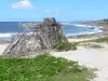 Landscapes of the Guadeloupe - Damencourt surf spot on the island of Grande-Terre, in the town of Le Moule