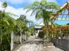 Landscapes of the Guadeloupe - Banana House, in the town of Trois-Rivières, on the island of Basse-Terre