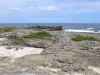 Landscapes of the Guadeloupe - Rocky coast of the island of Grande-Terre