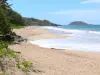 Landscapes of the Guadeloupe - Clugny beach in the town of Sainte-Rose, on the island of Basse-Terre: white sand and waves of the sea, view of the Kahouanne islet