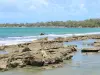 Landscapes of the Guadeloupe - Rocks in the middle of the Clugny beach and the Caribbean sea; in the town of Sainte-Rose, on the island of Basse-Terre