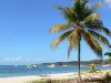 Landscapes of the Guadeloupe - Island of Marie-Galante: Saint-Louis beach and coconut trees with a view of the harbor and the town of Saint-Louis
