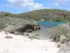 Landscapes of the Guadeloupe - Wild coast of the island of Grande-Terre