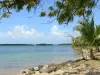 Landscapes of the Guadeloupe - Babin beach in Vieux-Bourg, in the town of Morne-à-l'Eau and the island of Grande-Terre, with a view of the nature reserve of Grand Cul-de-Sac Marin