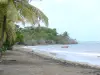 Landscapes of the Guadeloupe - Sainte-Claire beach on the island of Basse-Terre, in the town of Goyave: gray sand beach lined with trees and coconut palms with sea view