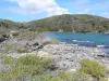 Landscapes of the Guadeloupe - Wild coast of the island of Grande-Terre
