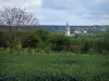 Landscapes of the Indre-et-Loire - Corns field, trees, church bell tower and cloudy sky