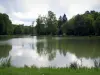 Landscapes of the Indre-et-Loire - Vegetation in foreground, river and trees reflected in the water