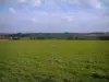 Landscapes of the inland Brittany - Meadow and trees far off