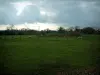 Landscapes of the inland Brittany - Meadow, sheeps and trees, cloudy sky