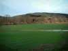 Landscapes of the inland Brittany - Green meadow and forest far off