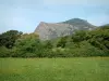 Landscapes of the inland Corsica - Meadow dotted with wild flowers, trees and mountain