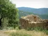 Landscapes of the inland Corsica - Tree, herbs and wild flowers with the ruins of a stone house (sheepfold), mountains covered with forests in background