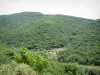 Landscapes of the inland Corsica - Mountain covered with scrubland and trees
