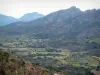 Landscapes of the inland Corsica - From the Marsolino pass, view of a plain dotted with trees and surrounded by mountains