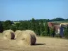 Landscapes of the Orne - Perche Regional Nature Park: haystacks in a field overlooking the Courboyer manor (information center)