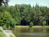 Landscapes of the Orne - Lake surrounded by trees