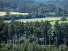 Landscapes of the Orne - Trees, fields and forest