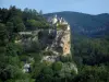 Landscapes of the Quercy - Belcastel castle perched on its cliff, trees and forest, in the Dordogne valley