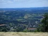 Landscapes of the Quercy - Dried vegetation dries in foreground with view of houses, trees, fields and wood