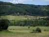 Landscapes of the Quercy - Fields, trees, residence and wood