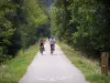 Landscapes of Southern Burgundy - Cycle path of the Voie Verte (Green Lane,  former railroad) lined with trees, cyclists (cycling)